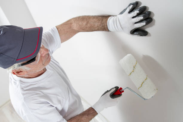 Best Post-Remediation Verification Testing  in Wailea, HI