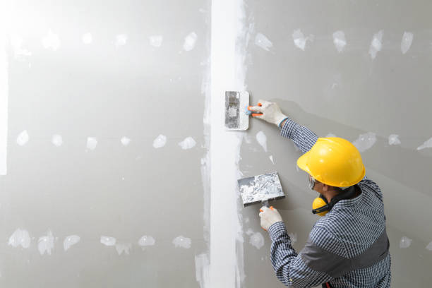 Best Attic Mold Removal  in Wailea, HI