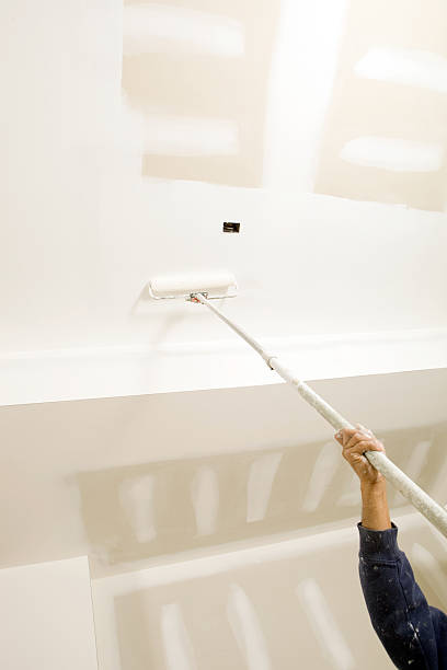 Best Mold Odor Removal Services  in Wailea, HI