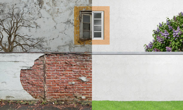 Best Mold Prevention Services  in Wailea, HI
