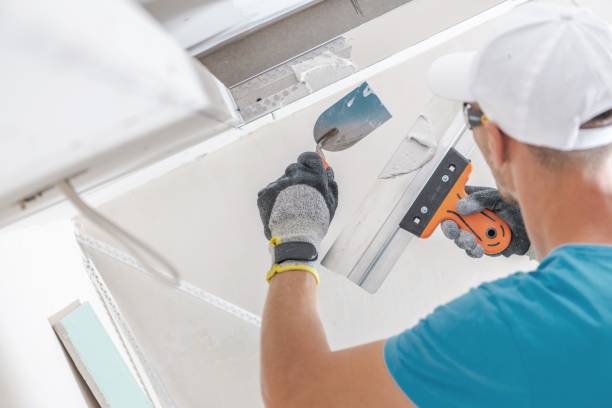 Best Post-Construction Mold Inspection  in Wailea, HI